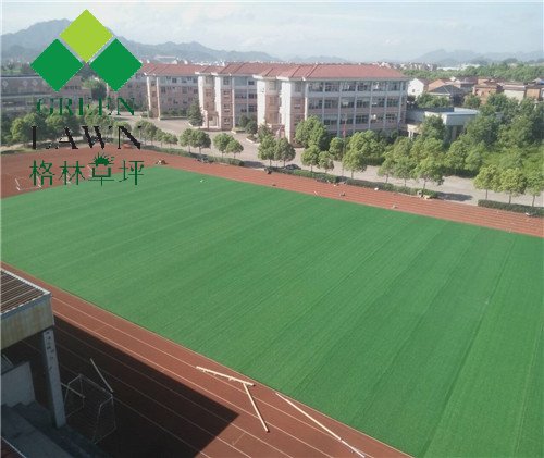 浙江東陽(yáng)橫店第三小學(xué)五人制足球場(chǎng)